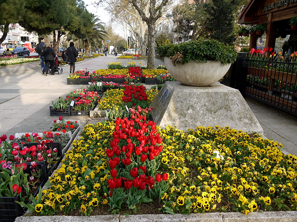 The tulip time in Istanbul